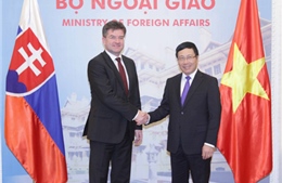 Phó Thủ tướng Phạm Bình Minh hội đàm với Phó Thủ tướng Slovakia